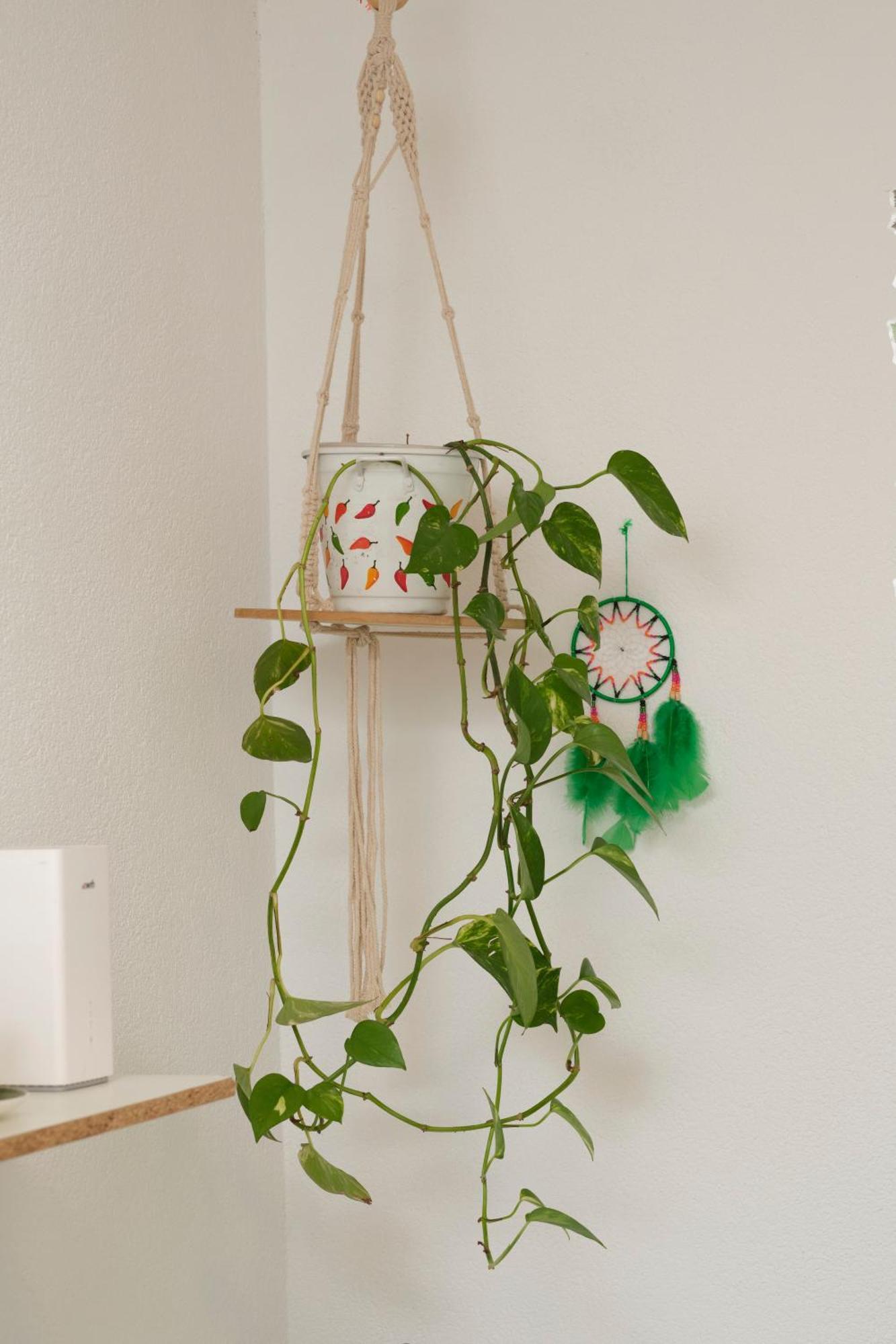 Doppelzimmer Bei Natur & Events Basel Ngoại thất bức ảnh